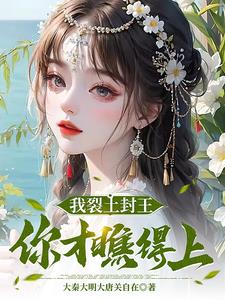 小说《那年那蝉那把剑》