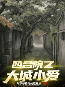 四合院中的路人全本小说免费下载